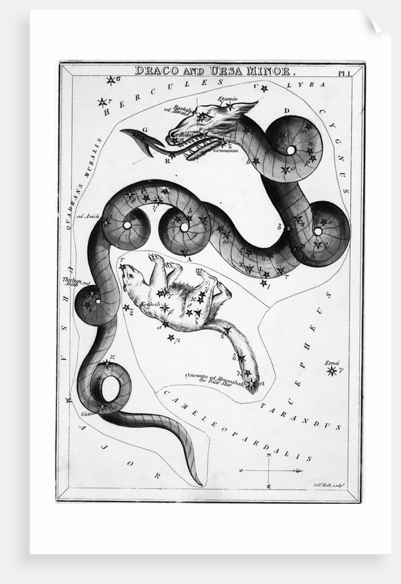 Constellations;Little Bear;Dragon;Engr by Anonymous