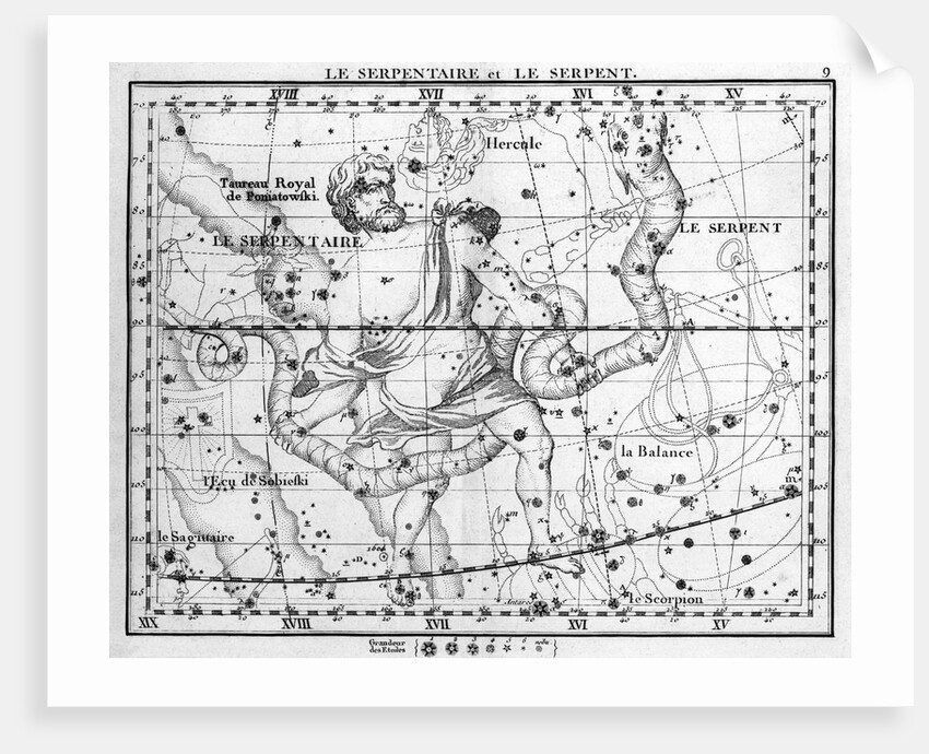 Engraving Of Constellation Serpens by Anonymous