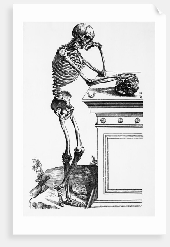 Print of a Skeleton Contemplating a Skull by Anonymous