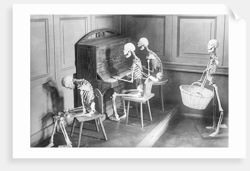 Skeletons Shown Playing Piano, Etc by Corbis