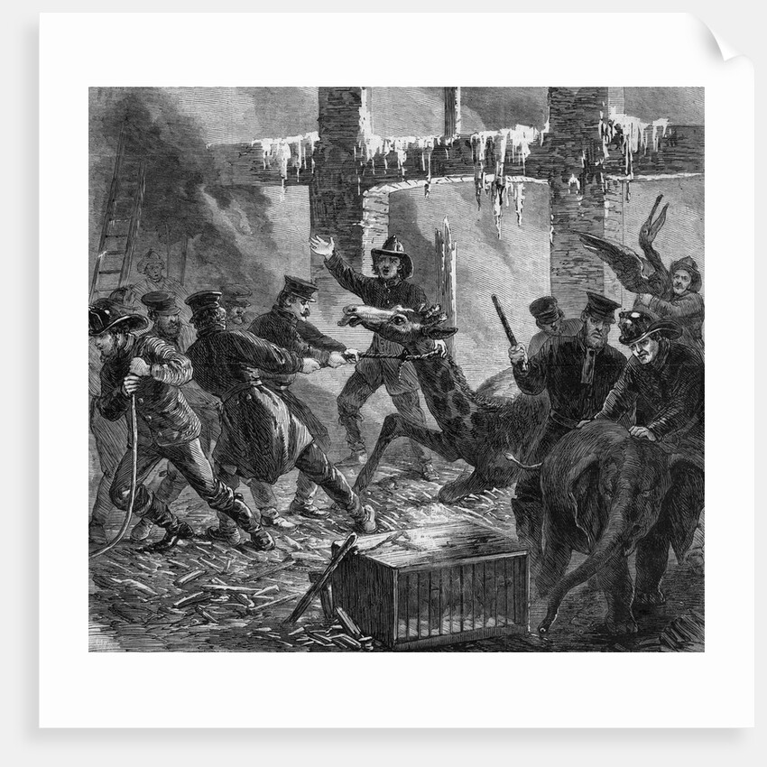 Lithograph Depicting Firemen Rescuing Animals from Barnum's American Museum by Anonymous