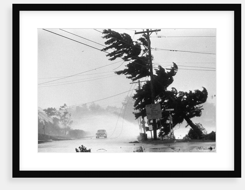 Water Falls/Car Stopped/Down Power Lines by Anonymous