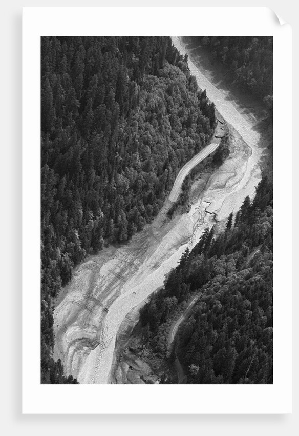 Aerial Flood Of Road Surrounded By Trees by Anonymous
