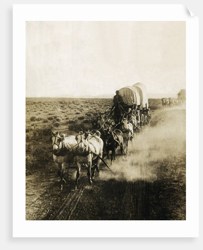 Covered Wagons on the Plains Going West by Anonymous