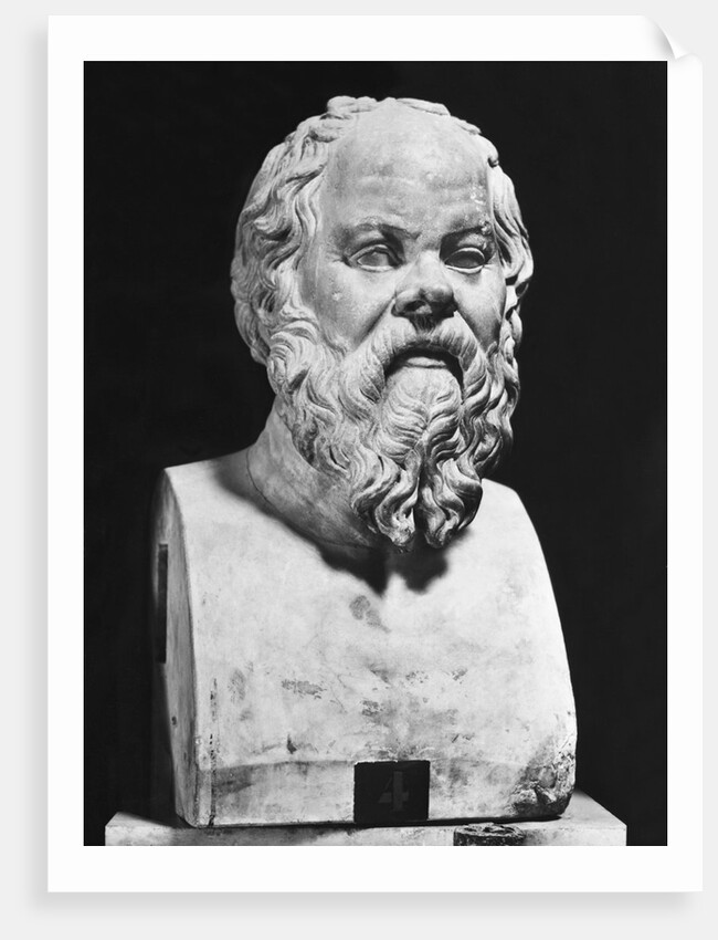 Bust Of Socrates by Anonymous