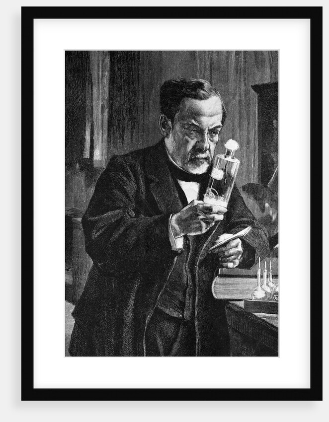 Woodcut After Louis Pasteur in His Laboratory by Albert Edelfelt