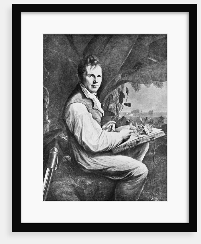 Alexander Von Humboldt Seated W/Plants by Anonymous