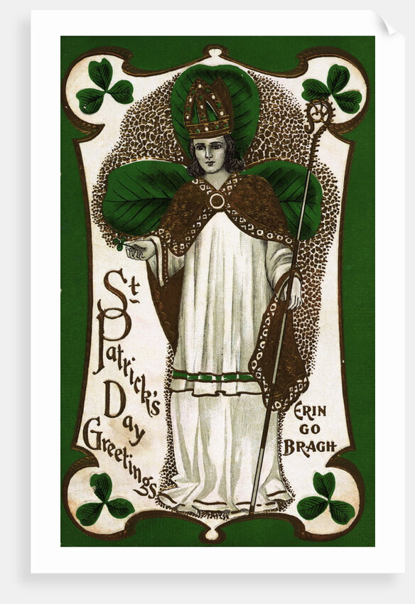 St. Patrick's Day Greetings Postcard by Anonymous