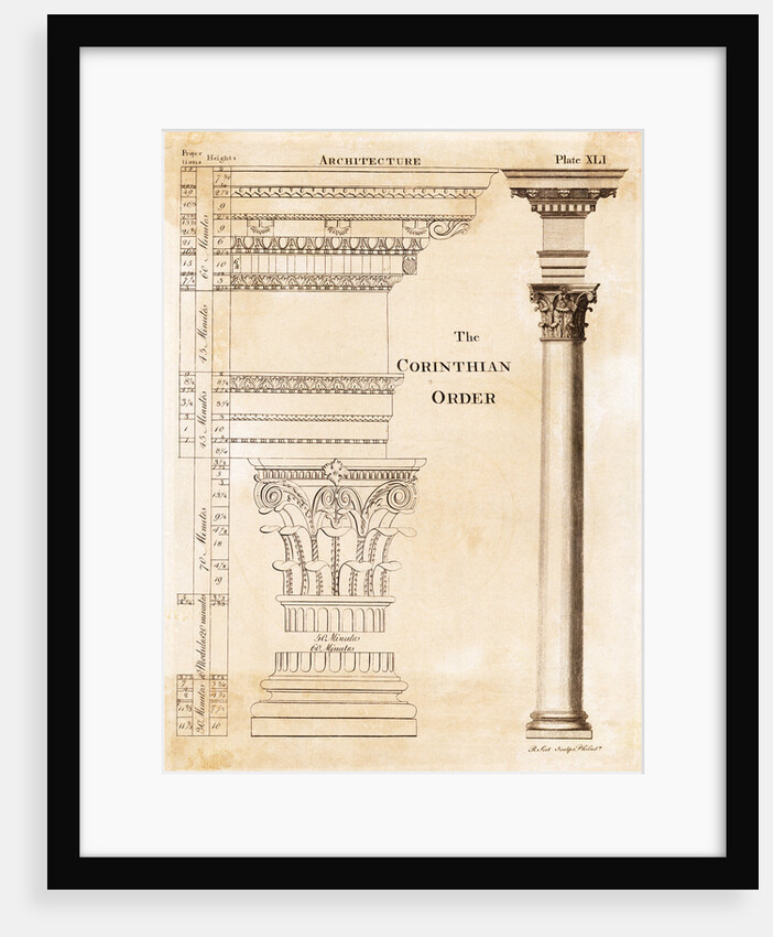 Illustration of Corinthian Columns by Anonymous