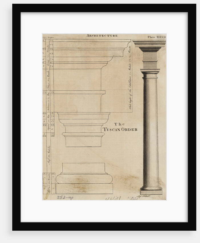 Illustration Tuscan Order of Columns by Anonymous
