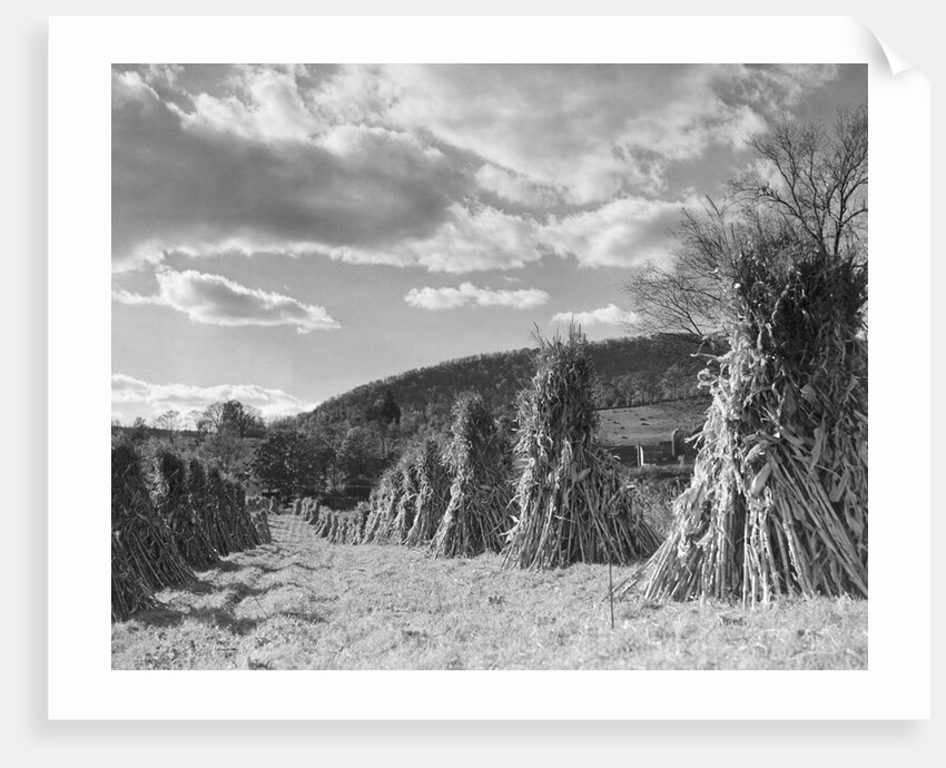 October In Conneticut/Country by Anonymous