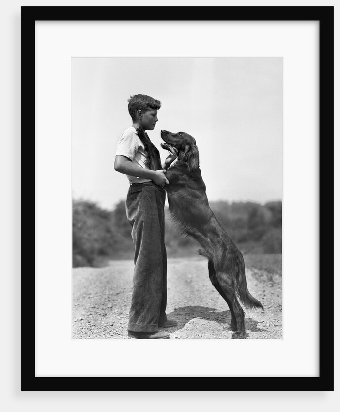 Teenage Boy with Irish Setter by Anonymous