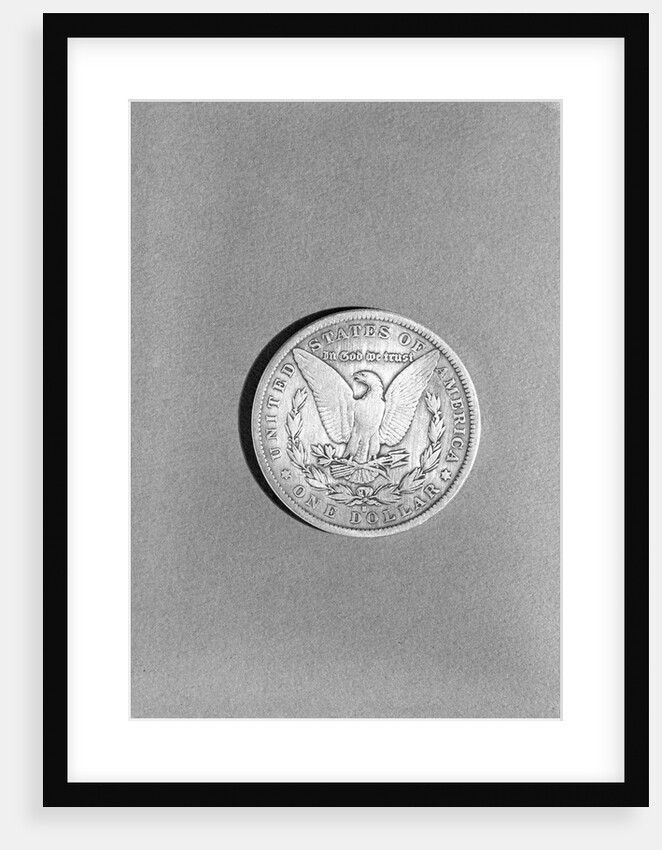 Close-Up Of Silver Dollar by Anonymous