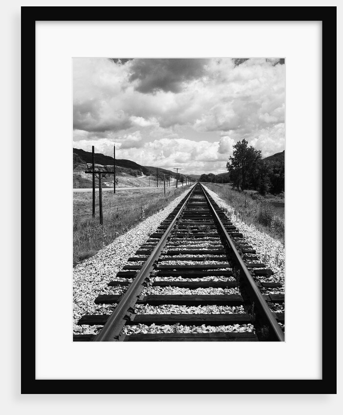Railroad Tracks Stretching into the Distance by Anonymous