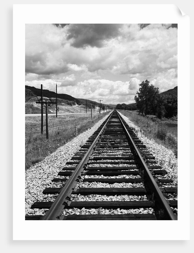 Railroad Tracks Stretching into the Distance by Anonymous