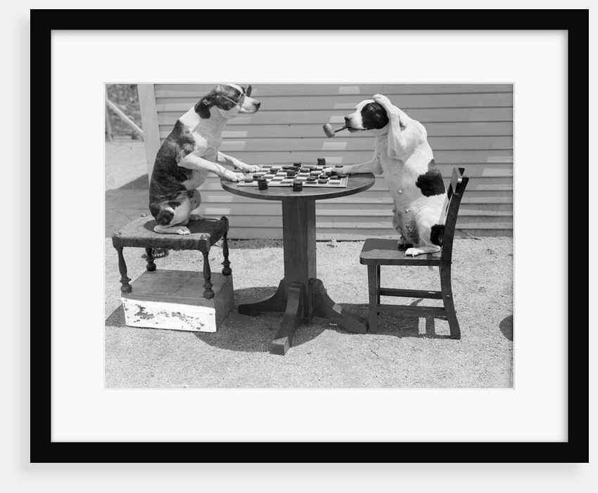 Dogs Playing Checkers/One Smokes Pipe by Anonymous