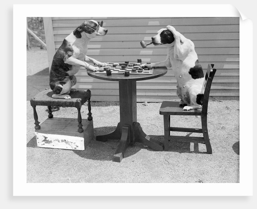 Dogs Playing Checkers/One Smokes Pipe by Anonymous