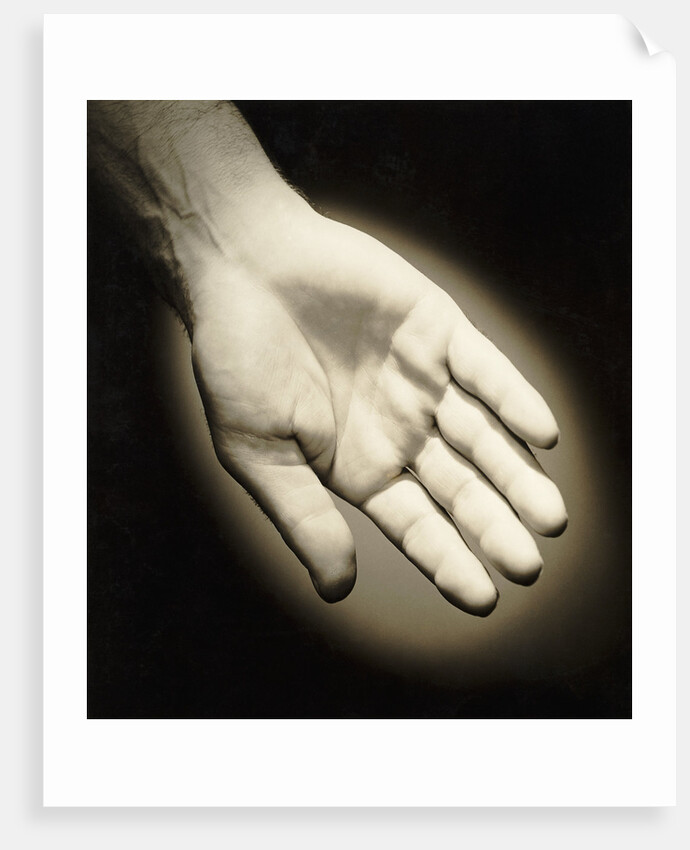 Palm-Side Of A Hand by Anonymous