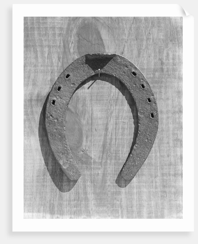 Horseshoe Hanging on a Nail by Anonymous