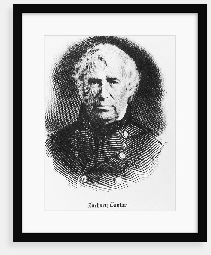 Bust Illustration Of Zachary Taylor by Anonymous