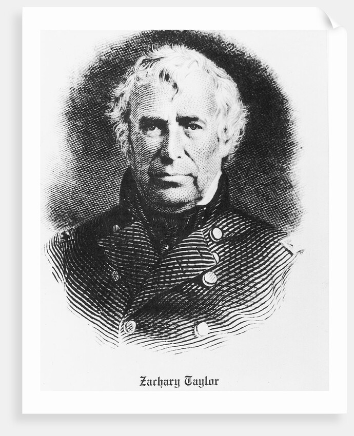 Bust Illustration Of Zachary Taylor by Anonymous