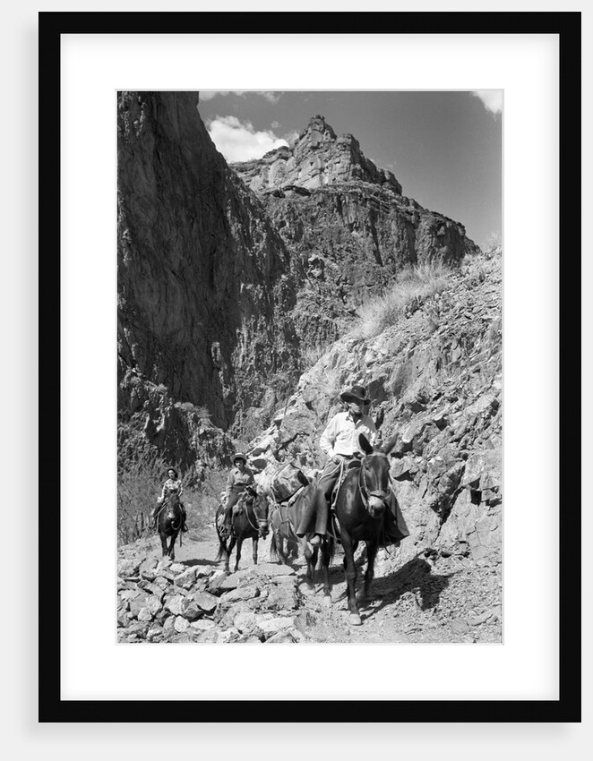 Mule Riders on Kaibab Trail by Anonymous