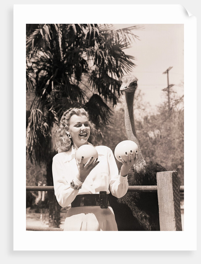 Ostrich Behind Woman Holding Its Eggs by Anonymous