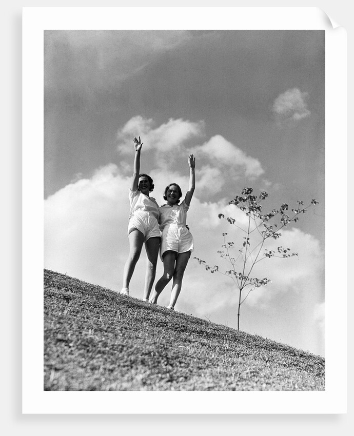 Twin Sisters Waving From Hilltop by Anonymous