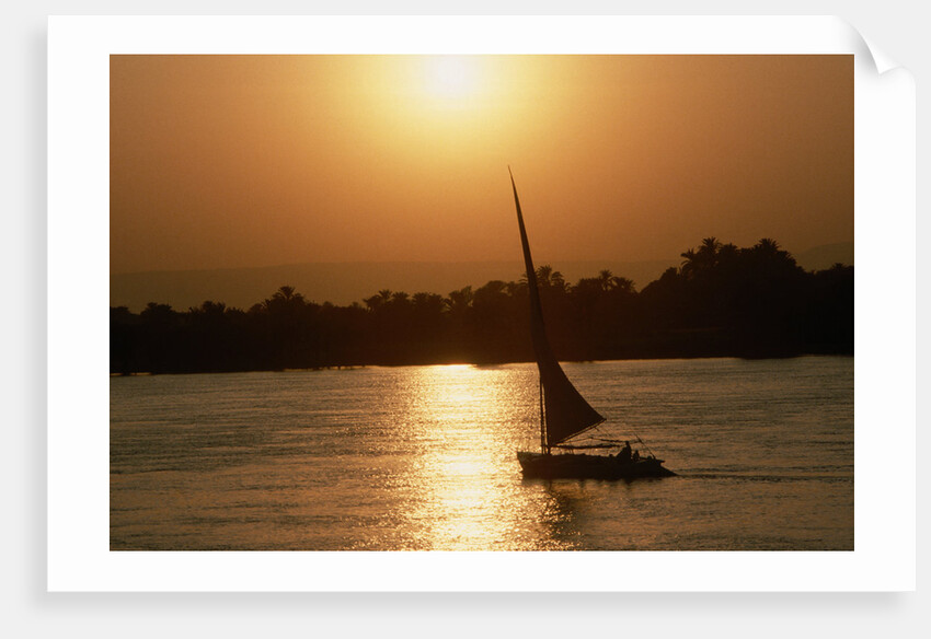 Felucca Sailing at Sunset by Anonymous