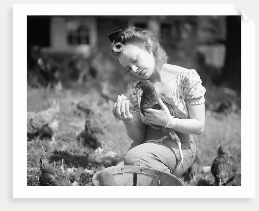 Woman Holds Chicken For Feeding by Anonymous