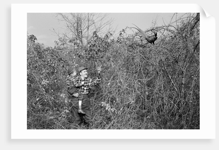 Man and Son Looking at Pheasant by Anonymous