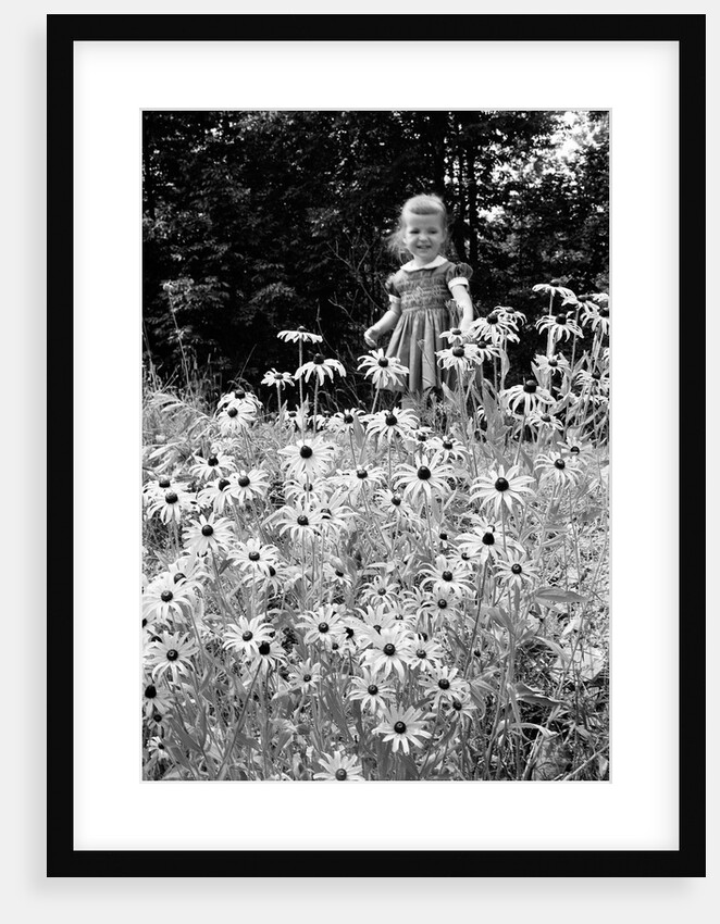 Girl in Daisy Field by Anonymous