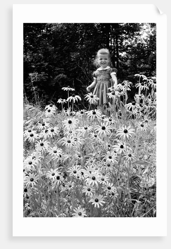 Girl in Daisy Field by Anonymous