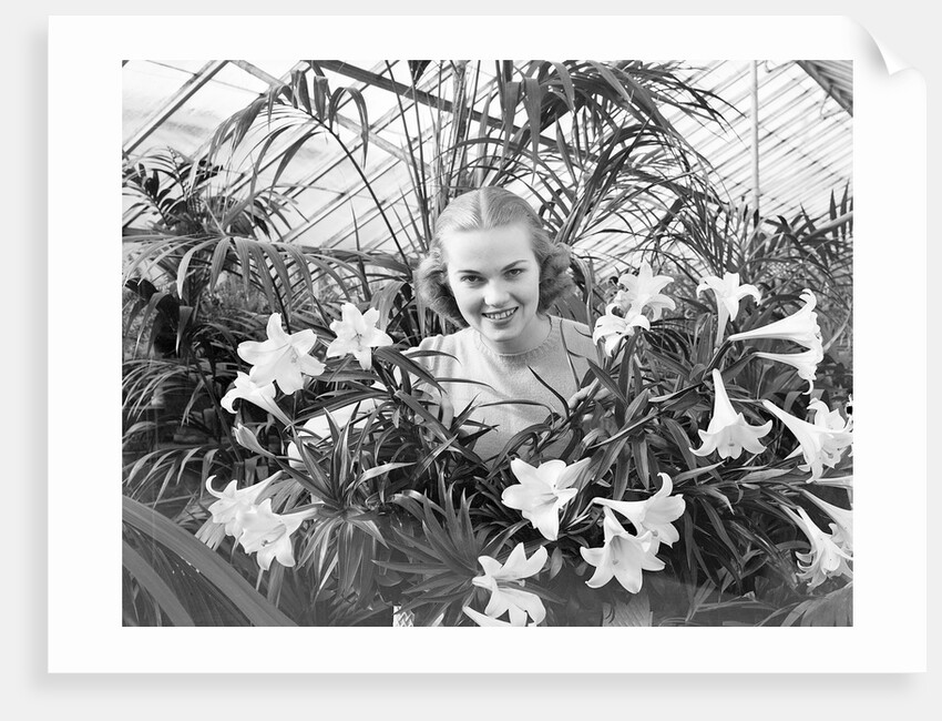Woman Among Lilies by Anonymous