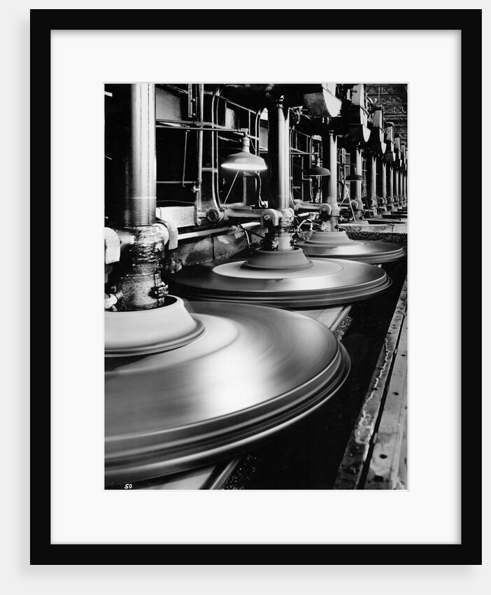 Glass Plate Plant by Anonymous