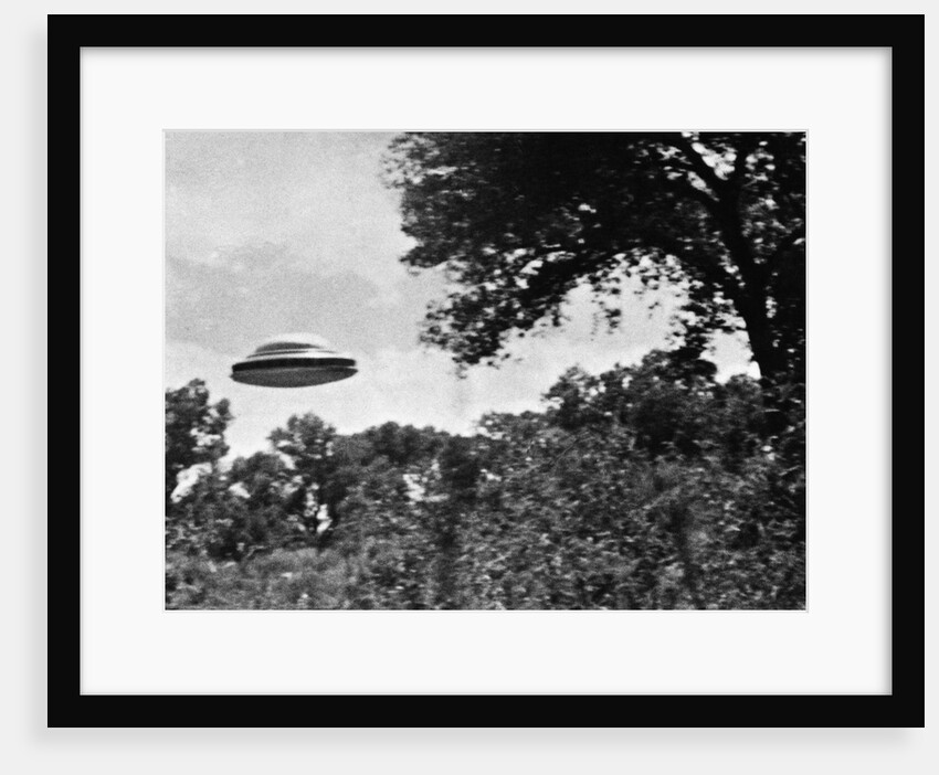 UFO Flying Low Over Trees by Anonymous