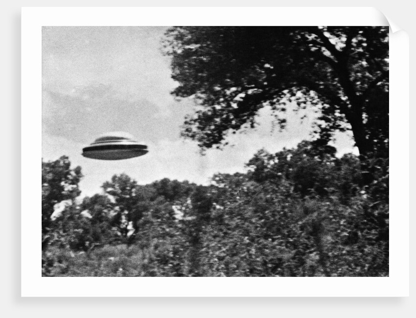 UFO Flying Low Over Trees by Anonymous