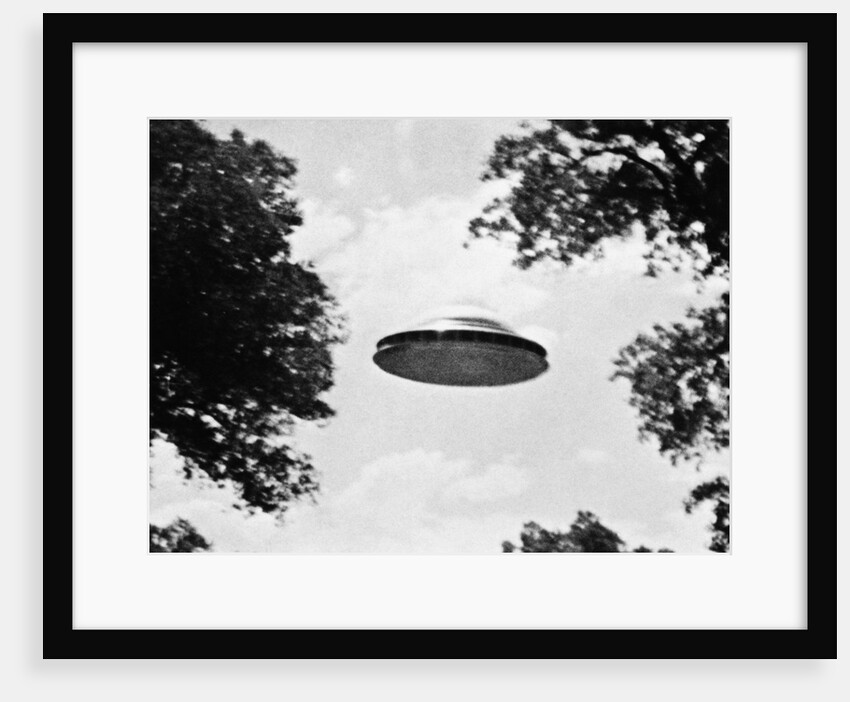 UFO Flying Low Over Trees by Anonymous
