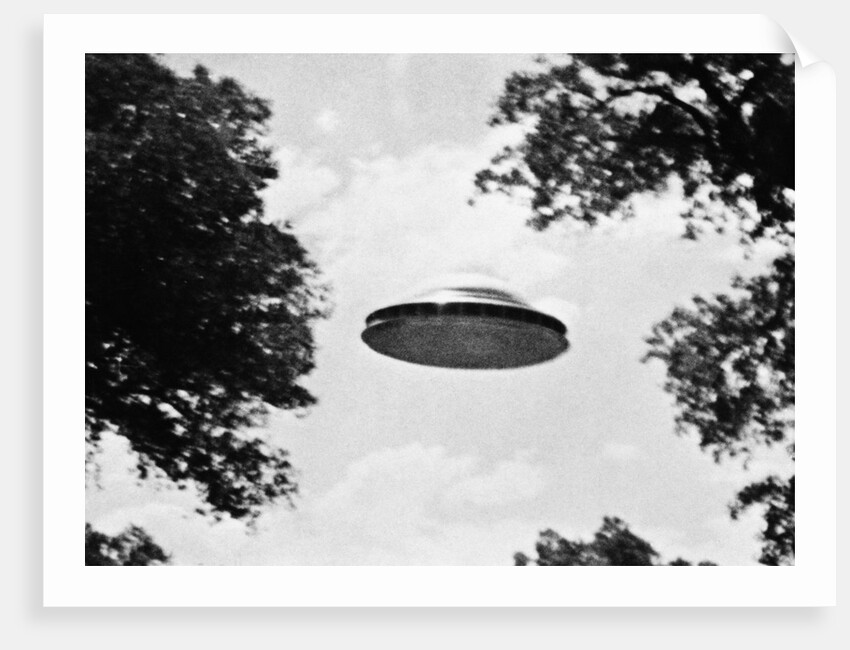 UFO Flying Low Over Trees by Anonymous