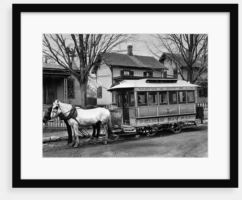 Horse-Drawn Streetcar In The Bronx by Anonymous