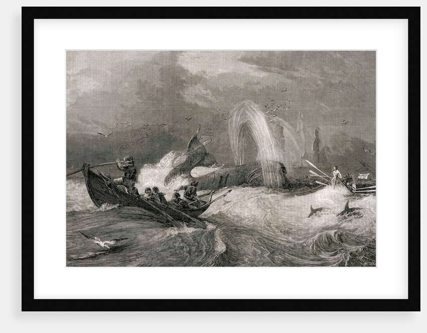 South Sea Whaling  - Engraving by Anonymous