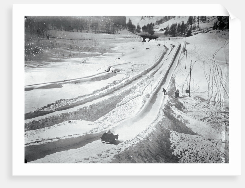 People Skiing and Sledding by Anonymous