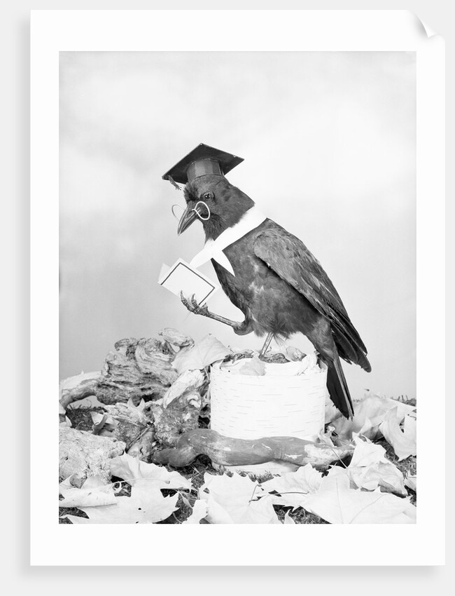 Bird with Glasses, Hat, and Folded Paper by Anonymous