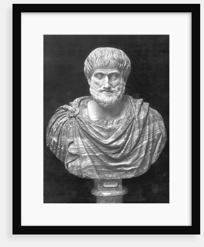Bust Of Greek Philosopher Aristotle by Anonymous