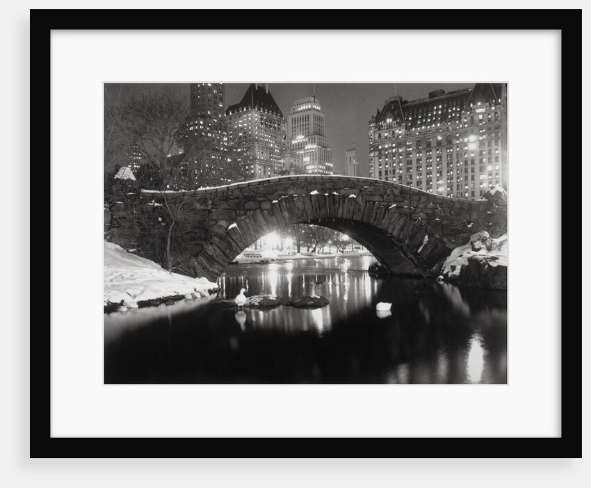 New York Pond in Winter by Anonymous