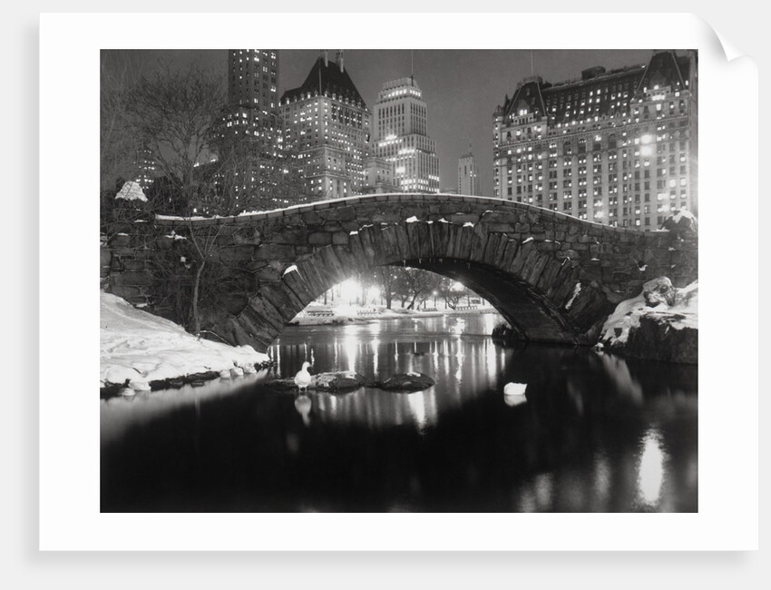 New York Pond in Winter by Anonymous