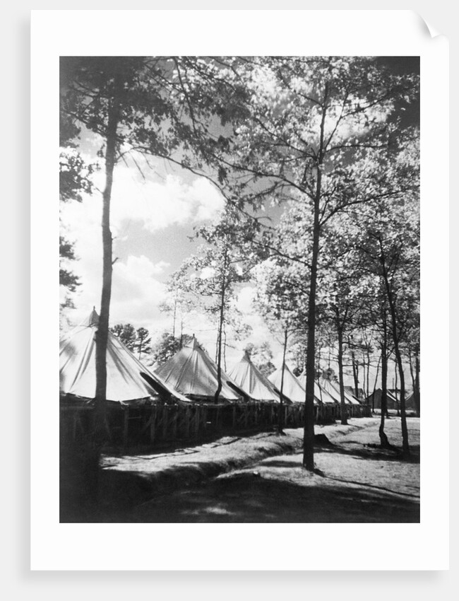 View Of Army Tents And Trees by Anonymous