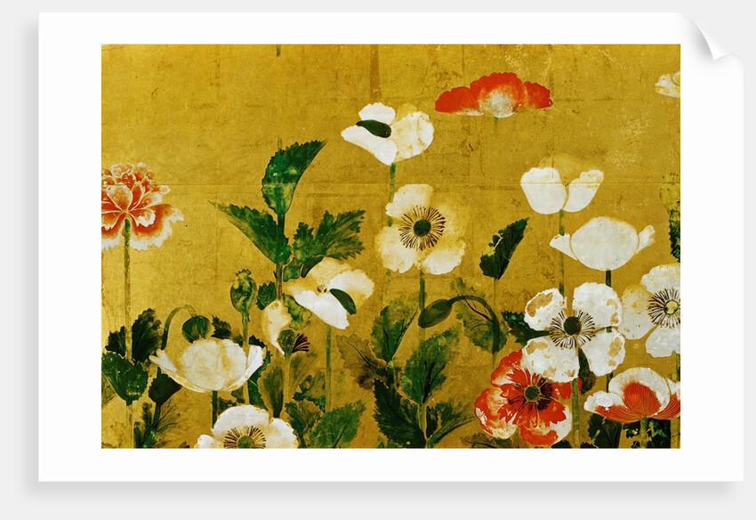 Detail of Poppies Edo Period Screen by Anonymous