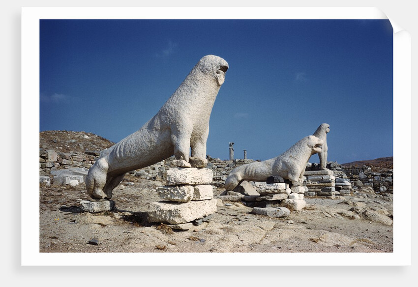 Terrace of the Lions at Delos by Anonymous