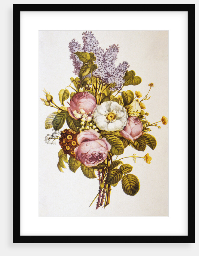 Illustration Depicting a Bouquet of Roses and Lilacs by Anonymous